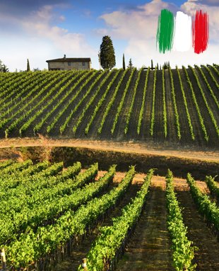 Италия е държавата, която “диша във врата” на Франция в класацията за най-голям производител на вино в света.