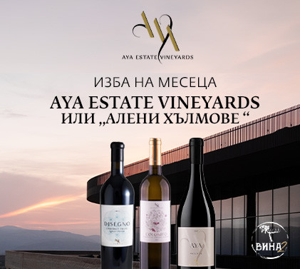 Изба на месеца - AYA Estate Vineyards
