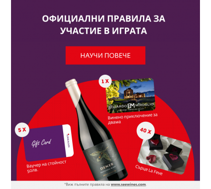 Игра "Винени летни приключения" Условия