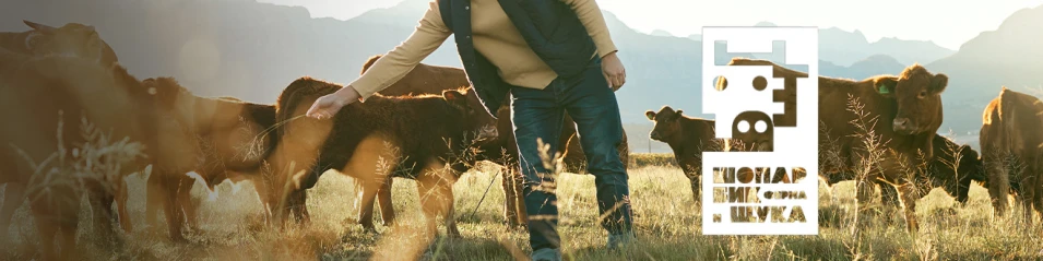 Ферма Шопар, Бик и Щука