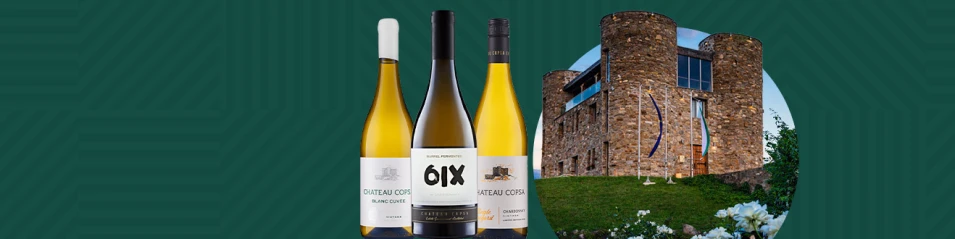 Cellar of the month Château Copsa