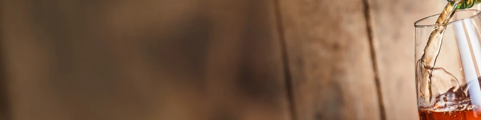 Подсилени вина