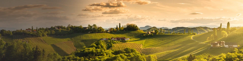 Франчакорта