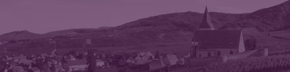 Франция | FINE WINES