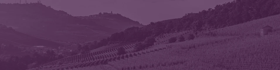 НОВ СВЯТ | FINE WINES