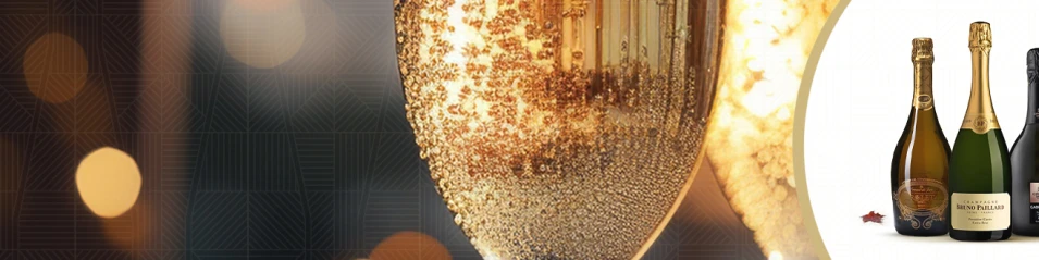 Пенливи вина с до -20%