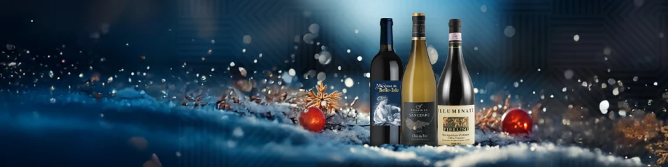 Winter Flash Sale up to -40%