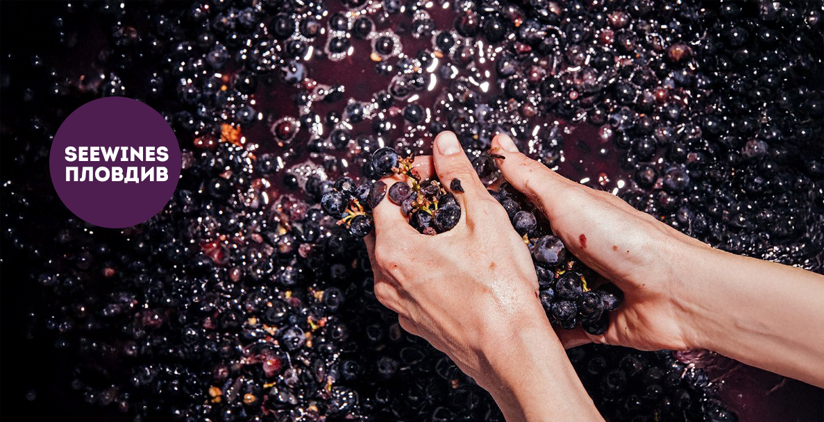 Дегустация в Пловдив: Rare Grape Night - вечер на не толкова познати сортове!