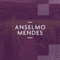 Anselmo Mendes