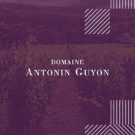 Domaine Antonin Guyon
