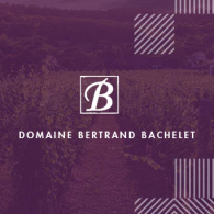 Domaine Bertrand Bachelet
