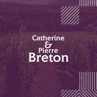 Пиер Бретон