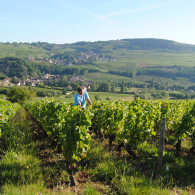 Domaine du Beauregard