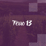 Ferro 13