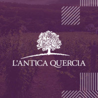 L'Antica Quercia