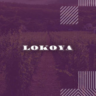Lokoya