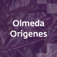 Olmeda Origenes