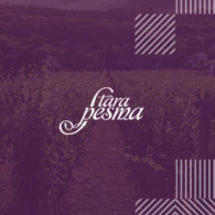 Стара Песма