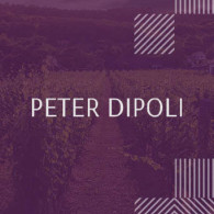 Peter Dipoli