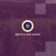 Tenuta San Guido