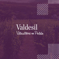 Bodegas Valdesil