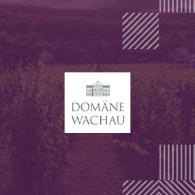 Domäne Wachau