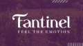 Fantinel