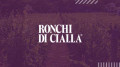 Ronchi di Cialla