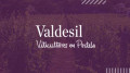 Bodegas Valdesil