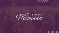 Weingut Wittmann