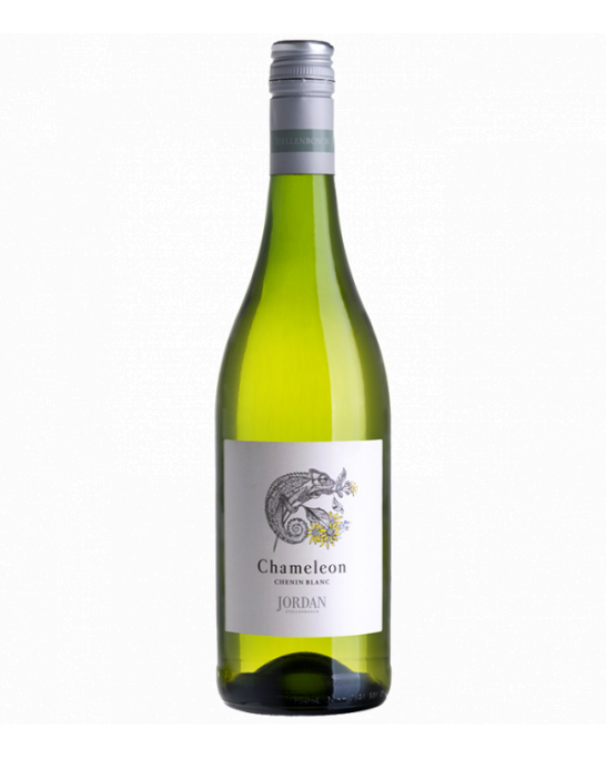 Chameleon Chenin Blanc Jordan