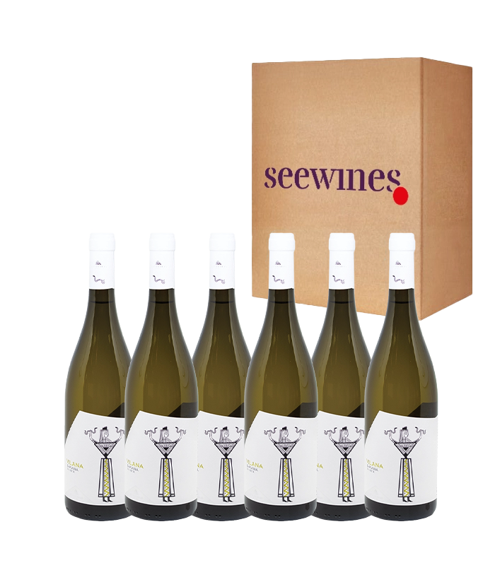 Пакет 6 бутилки Лираракис Вилана