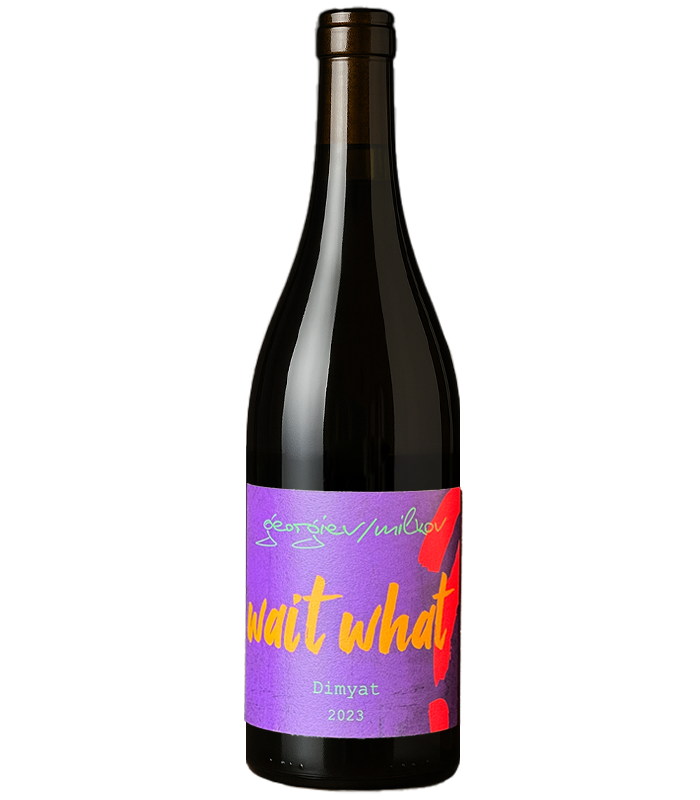 Georgiev & Milkov Dimiyat Wait What