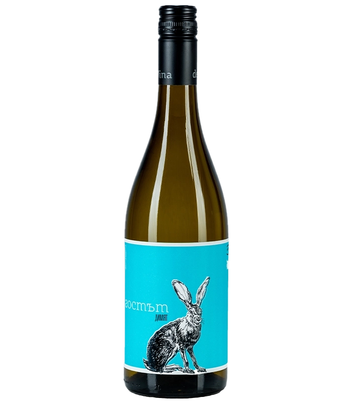 Devina The Guest Dimyat