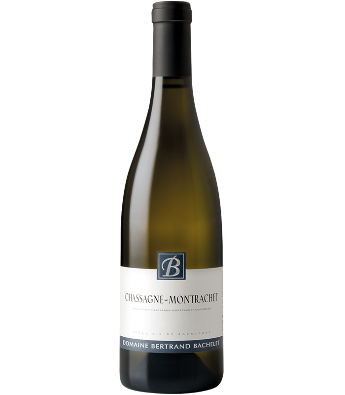 Chassagne Montrachet Blanc Bertrand Bachelet