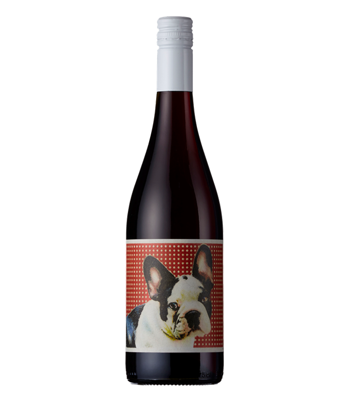 Les Chiens Catalans Rouge, Rousillon