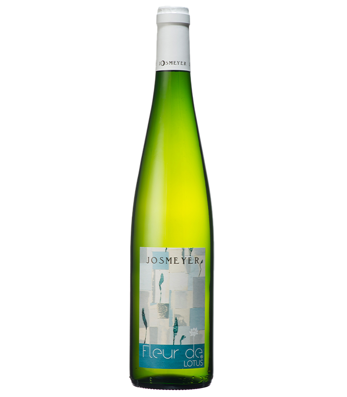 Фльор де Лотус Жосмайер