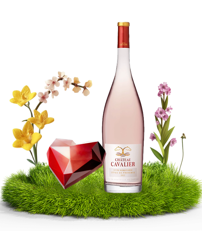 Пакет Лавиния