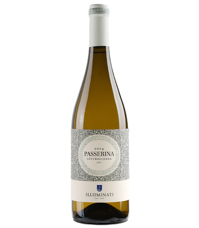 Passerina Illuminati