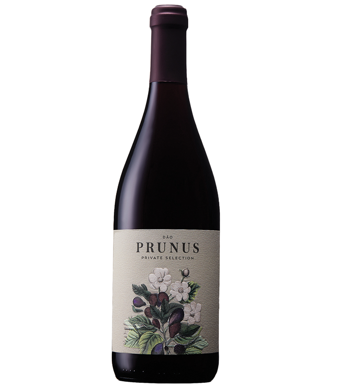 Prunus Private Selection Red DOC Dao Gota