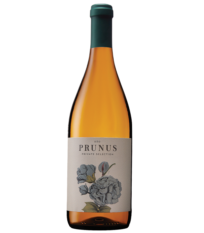 Prunus Private Selection White DOC Dao Gota