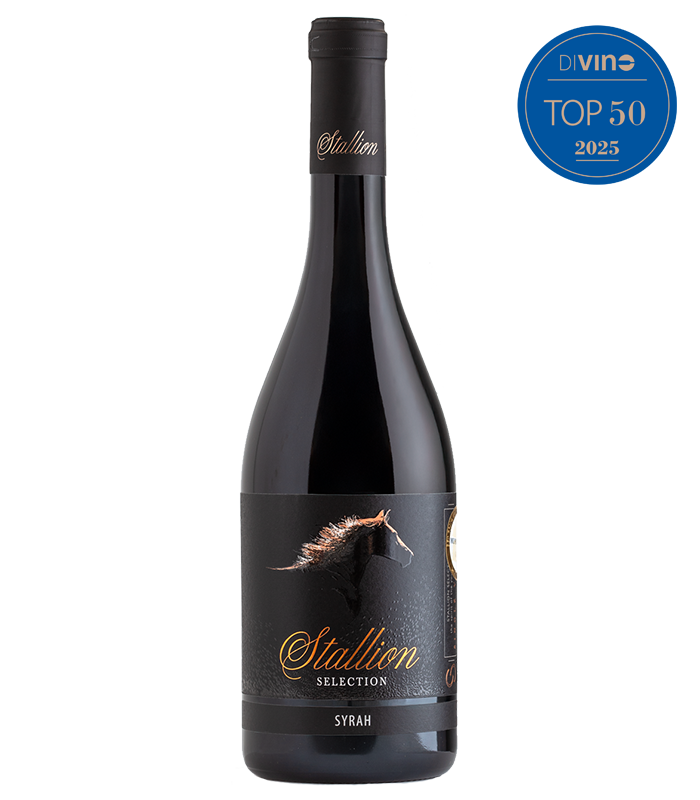 Stallion Syrah Angel's Estate