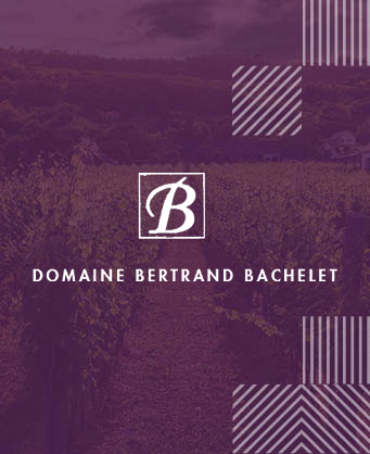 Domaine Bertrand Bachelet
