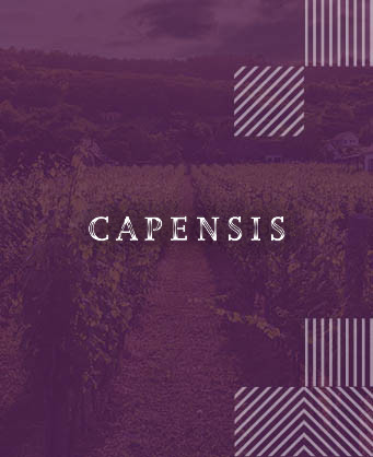 Capensis