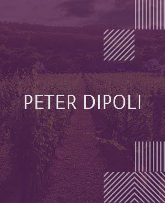 Dipoli
