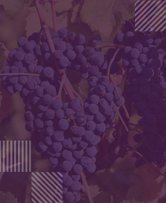 Рара Неагра