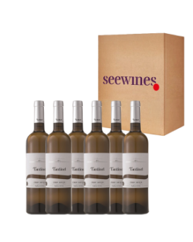 Pack 6 bottles Borgo Tesis Pinot Grigio Friuli
