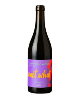 Georgiev & Milkov Dimiyat Wait What