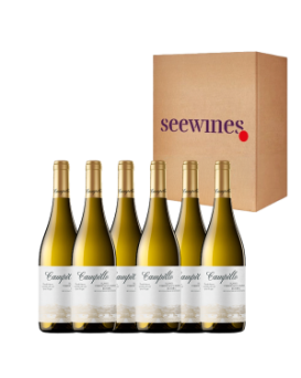 Pack 6 bottles Campillo Blanco Barrica