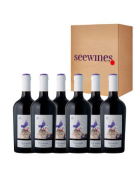 Pack 6 bottles Due Truli Negroamaro Albea